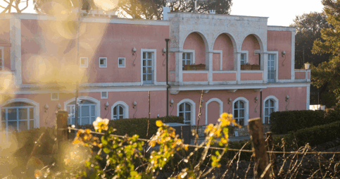 Ristoranti in Puglia: Guida Gourmet in Valle d’Itria