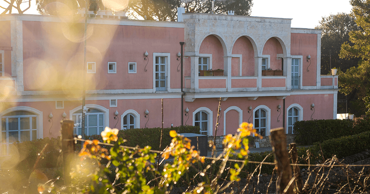 Restaurants in Puglia: A Gourmet Guide to the Itria Valley